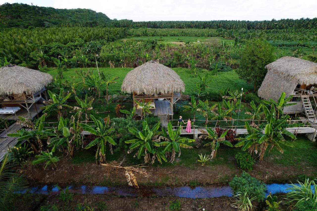 Samana Ecolodge El Limon Zewnętrze zdjęcie
