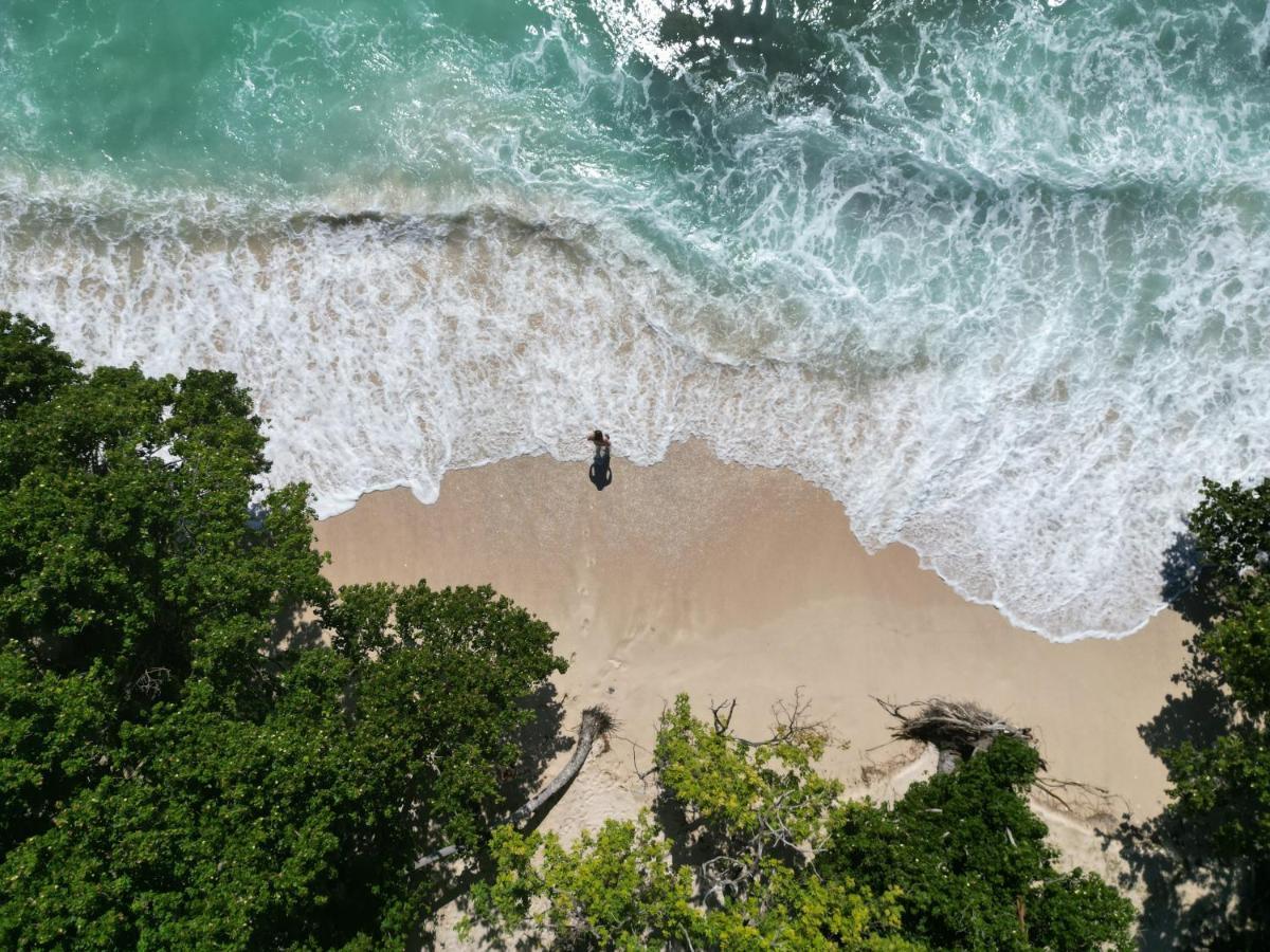 Samana Ecolodge El Limon Zewnętrze zdjęcie