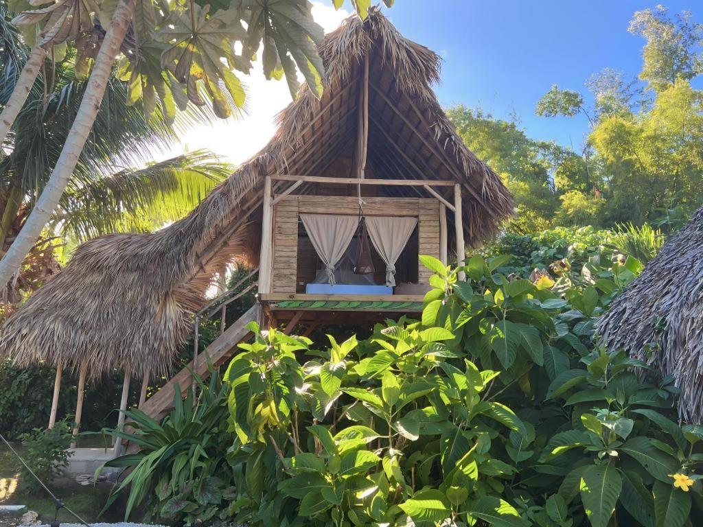 Samana Ecolodge El Limon Zewnętrze zdjęcie