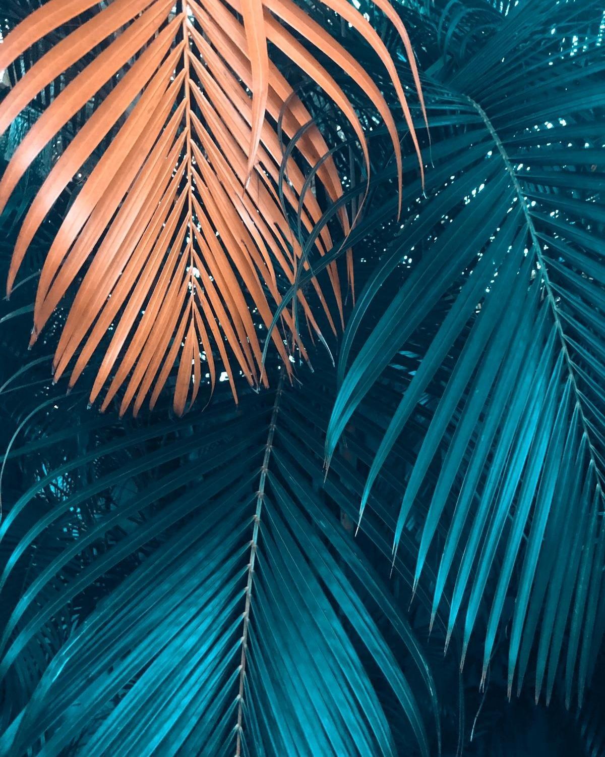 Samana Ecolodge El Limon Zewnętrze zdjęcie