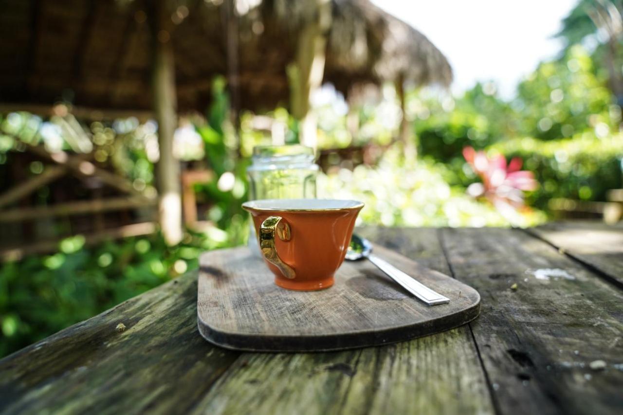 Samana Ecolodge El Limon Zewnętrze zdjęcie