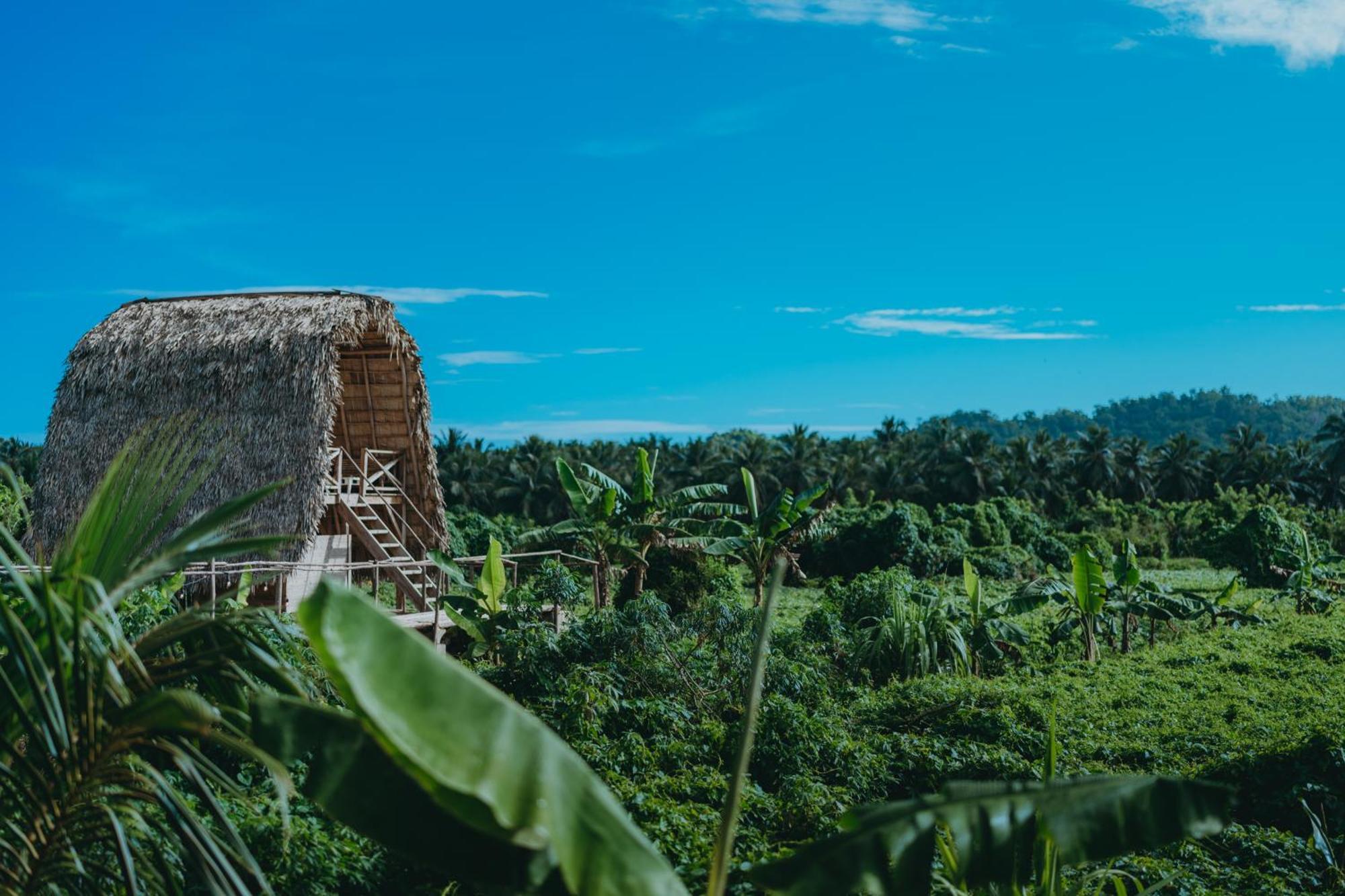 Samana Ecolodge El Limon Zewnętrze zdjęcie