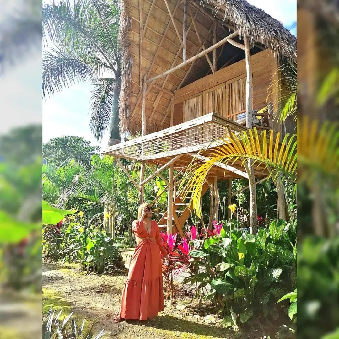 Samana Ecolodge El Limon Zewnętrze zdjęcie